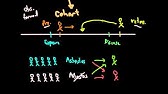 Odds Ratios And Risk Ratios Youtube