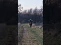 koniki🫶💕😘🐴