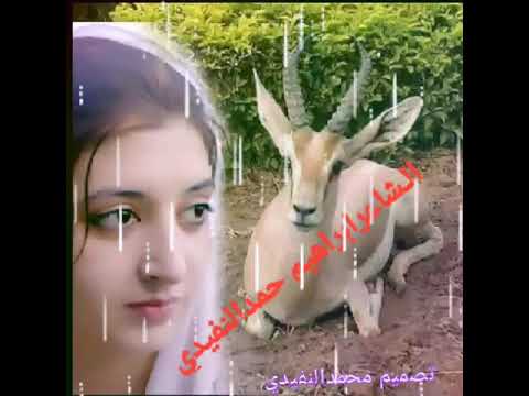 الشاعرابراهيم حمدالنفيدي 