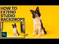 HOW TO EXTEND STUDIO BACKDROPS IN PHOTOSHOP - A Photoshop Tutorial for Dog Photography Studio Work
