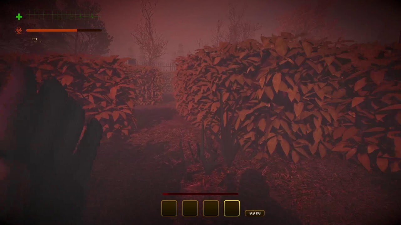 SOBREVIVIENDO A MIMESIS... SI ES QUE PUEDO