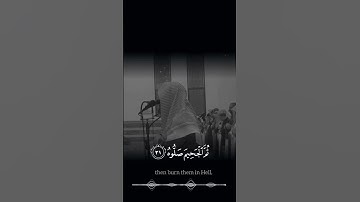 محمد اللحيدان سورة الحاقة #محمد_اللحيدان