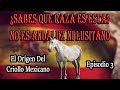 Origen Del Criollo Mexicano Epi.3 (Caballo Marismeño)🐴-Del Cerro Soy