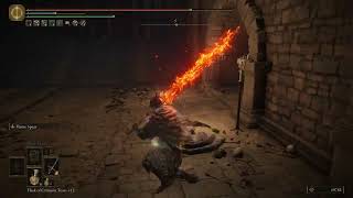 [Elden Ring PvP] Fire Knights GOATsword