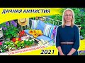 Дачная амнистия 2021 / Самые актуальные вопросы и ответы