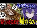 セミファイナルを見つけるまで帰れない