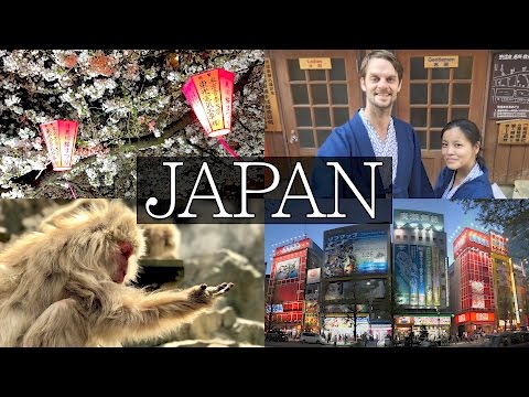 14 Days in Japan Vlog - Tokyo, Hakone, Mount Fuji, Shibu Onsen, Snow Monkey, Disney