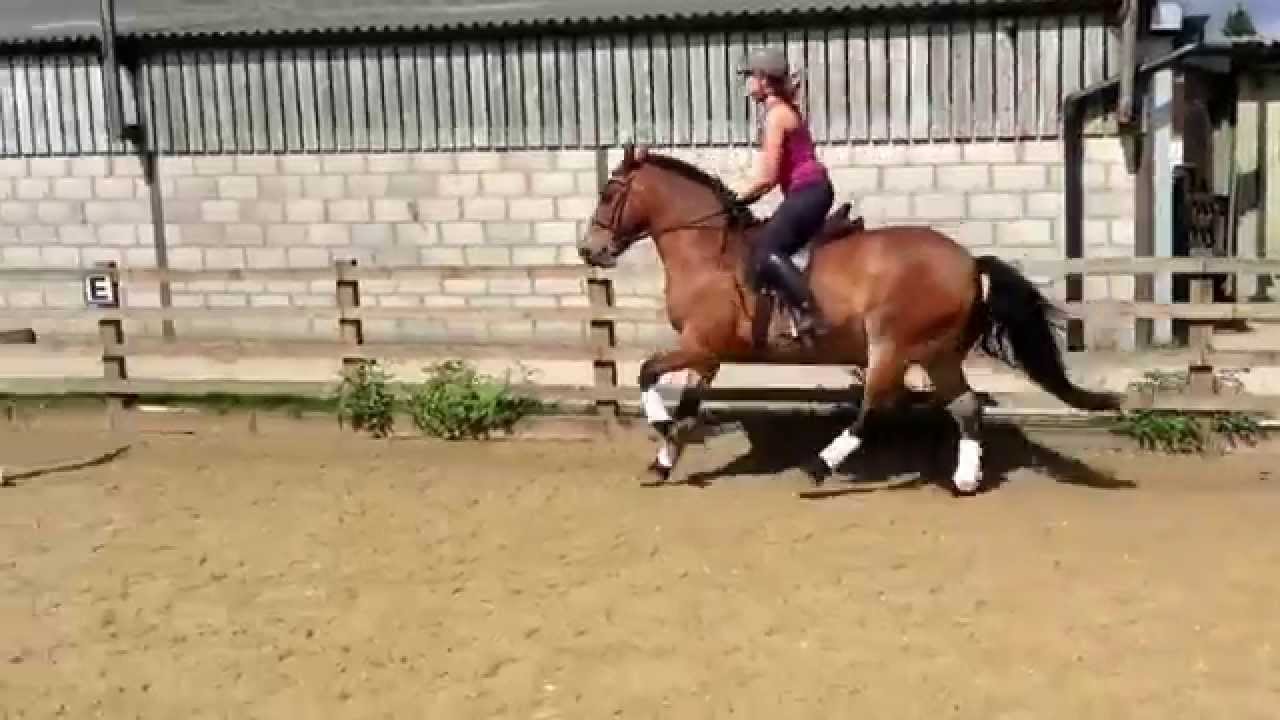 Harvey skinny jump (with drainpipe and water tray) practice at home