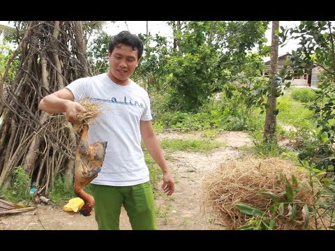 Video Gà chọi thui rơm Nấu giả cầy | Món ngon tại Miền Tây |... - youtube
