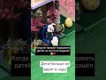Заяц #foryou #fyp #shorts #viral #live #drama #children #kids #rabbit #newyear #celebration #omg