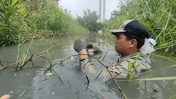 Thả lưới bén cá dính lưới thấy ham