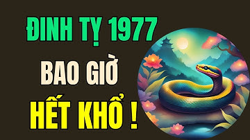 Tuổi Đinh Tỵ 1977. Chiêm nghiệm mệnh trời, Tìm câu trả lời cho câu hỏi bao giờ mới hết khổ