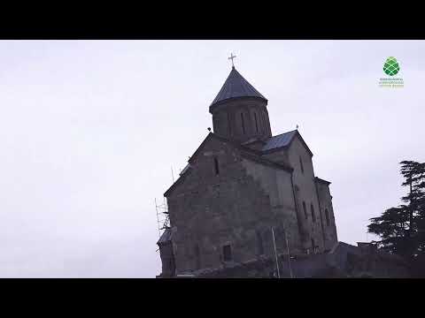 გირჩის აზრით