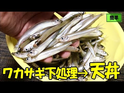 釣ったワカサギの下処理方法と天丼 簡単でフワフワに揚げる方法と天ぷらが10倍美味しくなる天タレの作り方 簡単 Youtube 釣ったワカサギの下処理方法と天丼 簡単でフワフワに揚げる方法と天ぷらが10倍美味しくなる天タレの作り方 簡単 Youtube