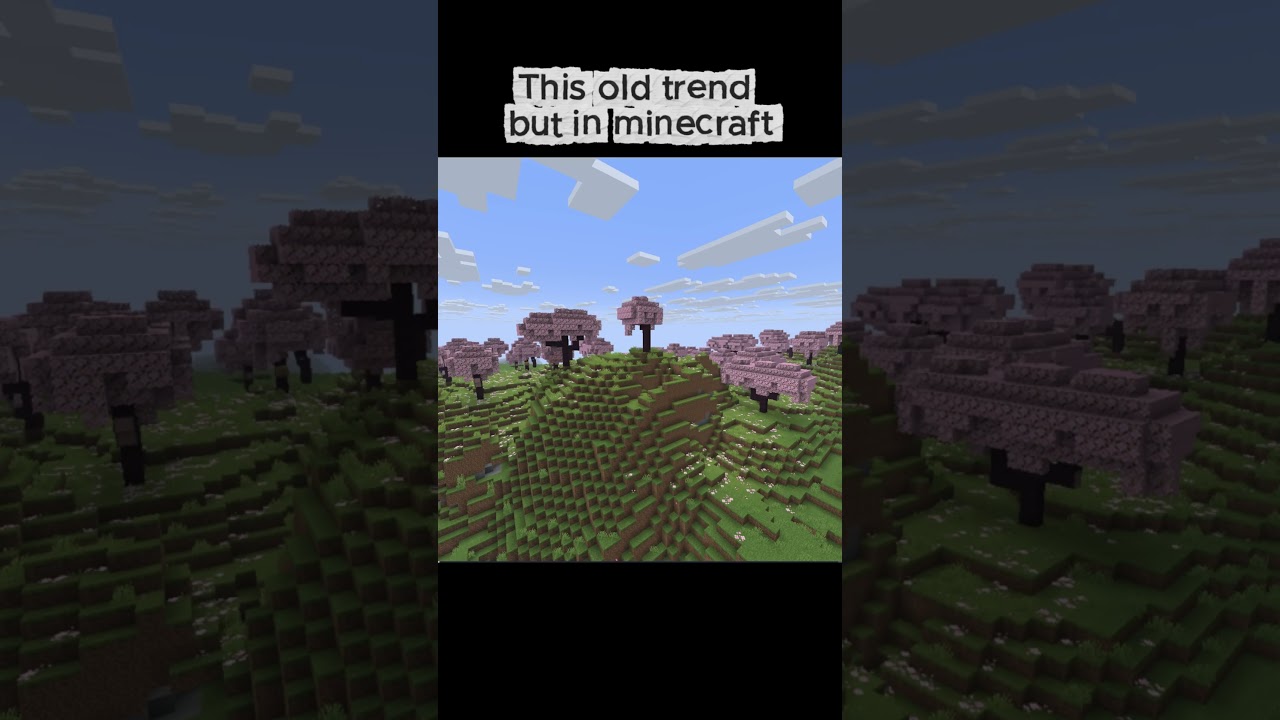 this old trend but minecract version 