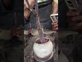 sepuh mata ketam atau sugu secara manual #forgedfromiron #medievalblacksmith #skills