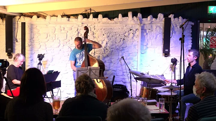 Night Vision - Carole Nelson Trio (live)