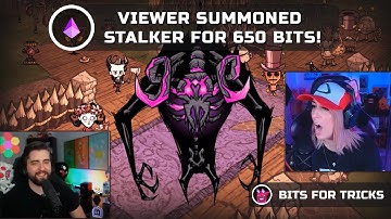 LIVE STREAM FAIL of STREAMERS in Don