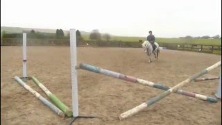 A weekend of Lily and Bramble