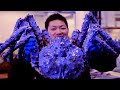 Top 5 Biggest Crabs Ever Caught