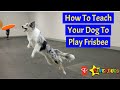 Teach Your Dog To Play Frisbee | Dog Training