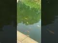 Wuxi family trip 5