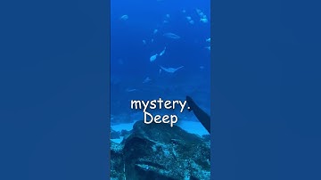 We’ve Only Explored 5% of the Ocean! What’s Hiding in the Deep? #ocean #deepsea