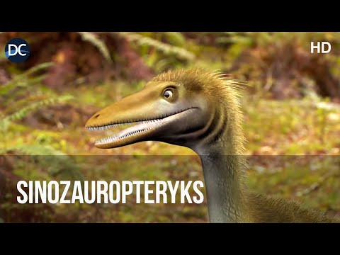 Sinozauropteryks - Pierwszy upierzony dinozaur | Ciekawostki o dinozaurach | Prehistoryczny dinozaur