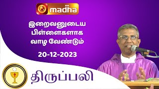 ? 20 December  2023 Holy Mass in Tamil 06:00 PM (Evening Mass) | Madha TV