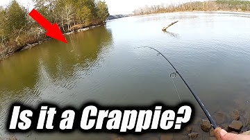 I Went Fishing For Crappie and This is What I Caught (Winter Fishing)