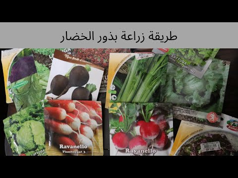فيديو: كيفية زراعة الخضروات بالبذور