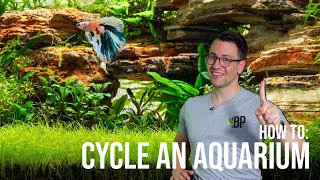 How to: Cycle a Planted Aquarium - The Nitrogen Cycle in the Fish Tank | EP2 Planted Tank Overview