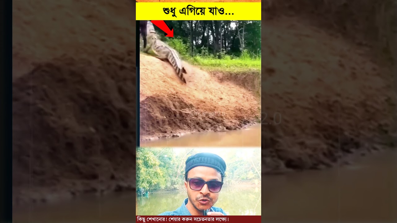 সফল হতে হলে পেছনে তাকিওনা!  #easylifeschool #facts #animalfacts