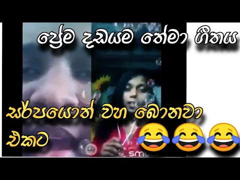 sinhala fanny song(prema dadayama)😂😂