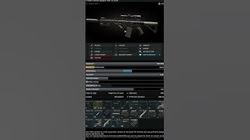 BSG what is this...  #escapefromtarkov #eft #tarkov #shortsvideo #fps #fyp