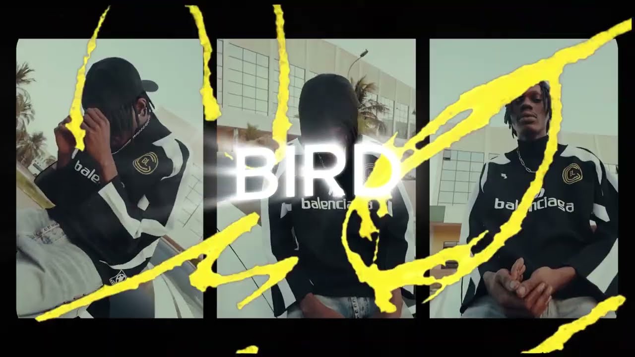 Lil Zed Type Beat "BIRD" (prod.WEEDYBEATS) 