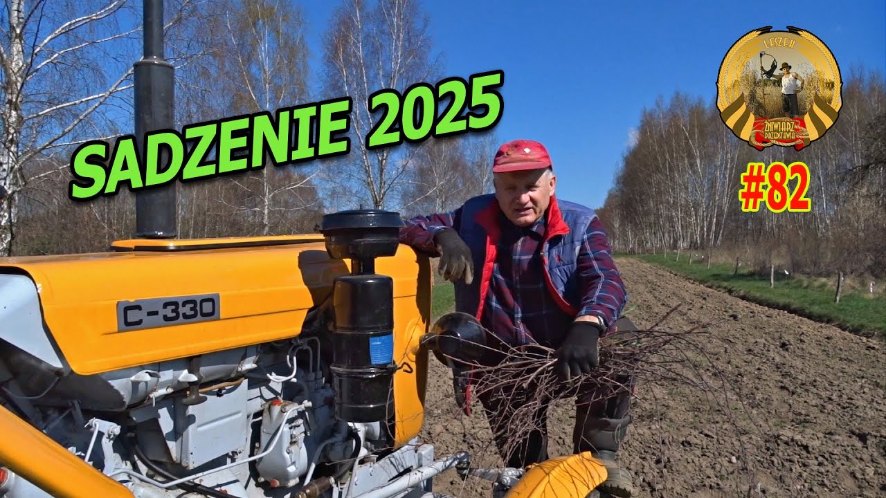 SADZENIE 2025  (odc. 82)