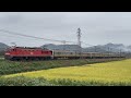 【広角ver•甲種輸送】EF510-15+213系8両 醒ヶ井〜米原通過