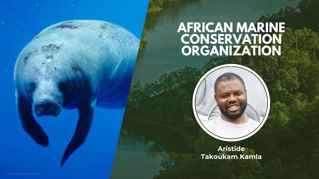 The Marine Conservationists of Central Africa  | Wildlife Conservation Network