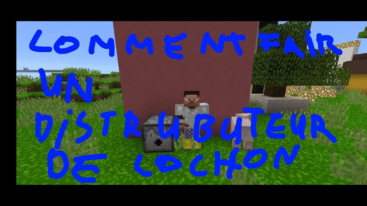 Comment faire un distributeur de cochon sur Minecraft - YouTube