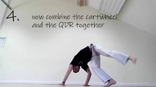 Au QDR Tutorial (Capoeira)