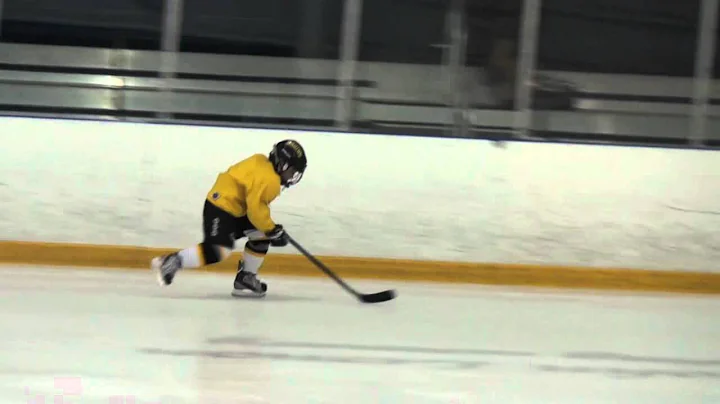 Victor Teleguine Professional Hockey Skill Develop...