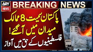 Pakistan & 8 Countries Condemn Violence Against Palestinians by Israeli Settlers