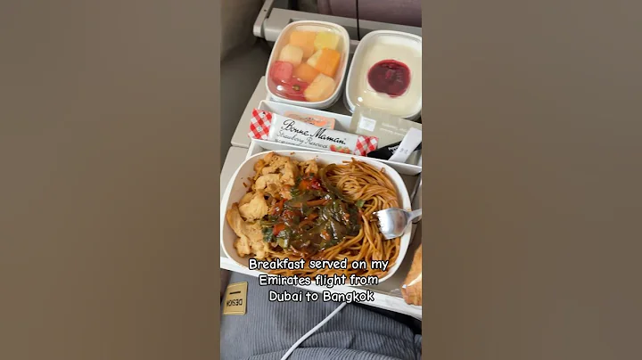 Dubai to Bangkok: Emirates Meal Review 🍽️ #emirates #flight #foodreview #travelvlog #thailand
