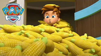Farmyard Chaos!🌽   - PAW Patrol - Cartoons for Kids