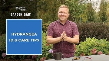 Hydrangea ID & Care Tips