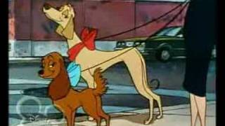 Oliver & Company - Why Should I Worry?Norwegian