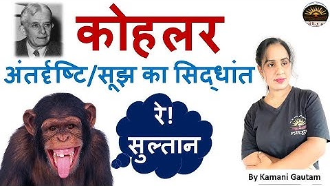 #कोहलर का सूझ एवम अंतर्दृष्टि का सिद्धान्त #INSIGHT THEORY KOHLAR THEORY By Kamani Mam TET EXAM
