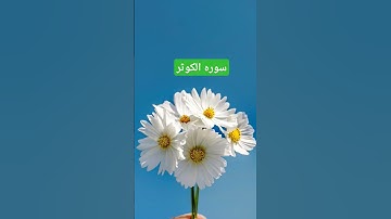 #سوره الكوثر #قران_كريم #القارئ #اكسبلور #القزابري #دويتو #ترند #المصحف #لايك #الرحمن #تيك_توك