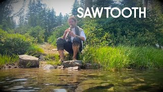 Sawtooth I | Native American Flute
About me: https://www.endpermia.com
My mixes: https://www.endpermia.gumroad.com
Bandcamp: https://endpermia.bandcamp.com
SoundCloud: https://soundcloud.com/endpermia
Instagram: https://www.instagram.com/endpermia
Facebook: https://www.facebook.com/endpermia
#nativeamericanflute Sawtooth I | Native American Flute